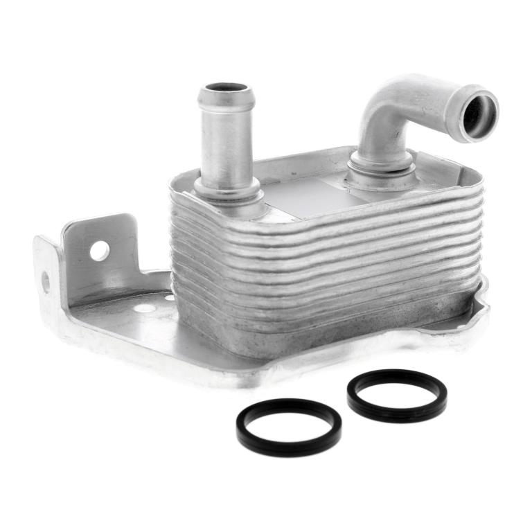 Radiador óleo motor VEMO ref. V40-60-2110