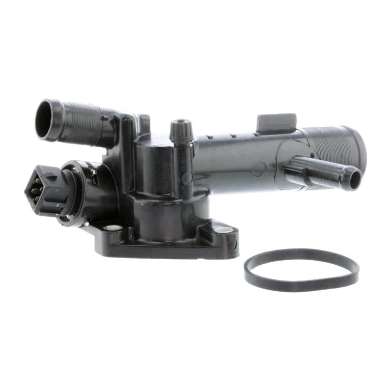 Thermostat d'eau (Calorstat) VEMO V46-99-1363