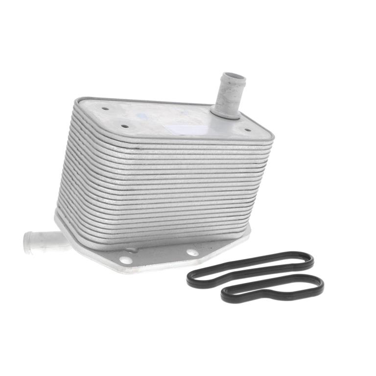 Radiador óleo motor VEMO ref. V48-60-0022