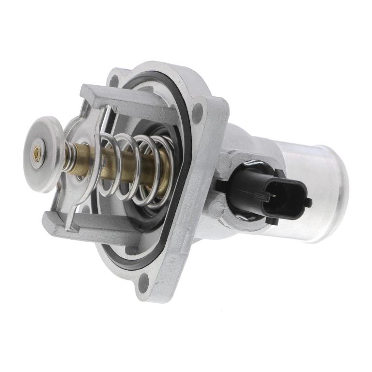 Thermostat d'eau (Calorstat) VEMO V51-99-0005