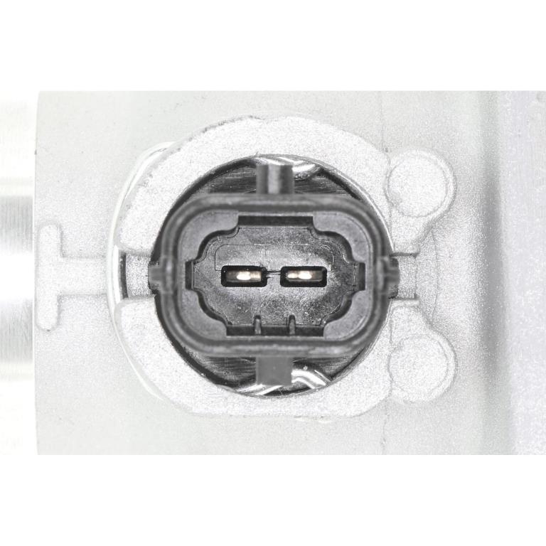 Thermostat d'eau (Calorstat) VEMO V51-99-0005