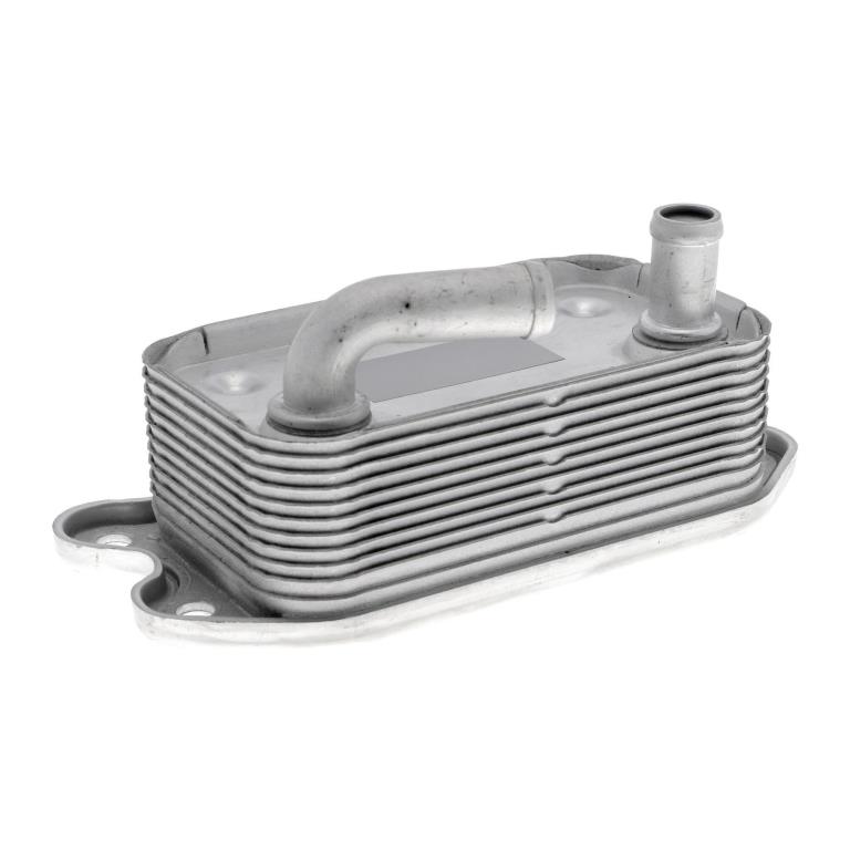 Radiateur d'huile moteur (Refroidisseur d'huile moteur) VEMO V95-60-0006