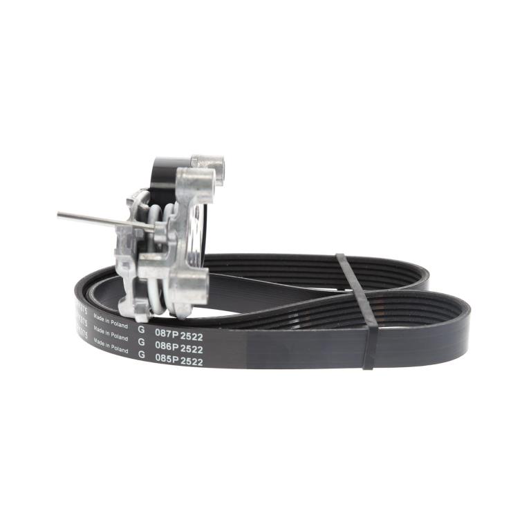 Kit de courroie d'accessoire Schaeffler INA ref. 529 0261 10