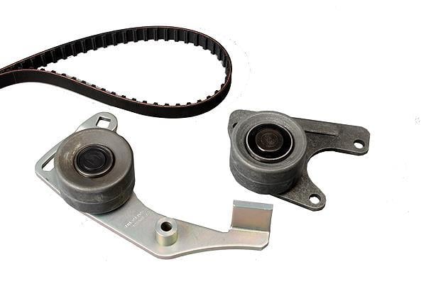 Kit de distribution Schaeffler INA ref. 530 0011 10