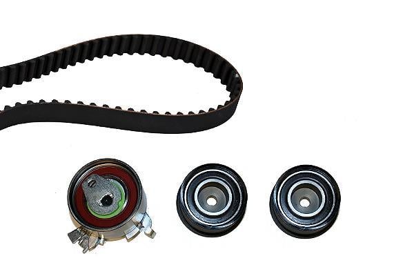 Kit de distribución Schaeffler INA ref. 530 0049 10