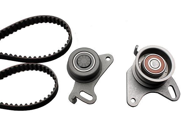 Kit de distribución Schaeffler INA ref. 530 0053 10