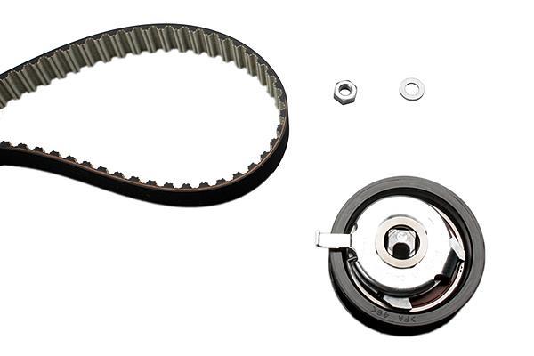 Kit de distribución Schaeffler INA ref. 530 0174 10