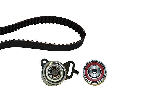 Kit de distribución Schaeffler INA ref. 530 0271 10