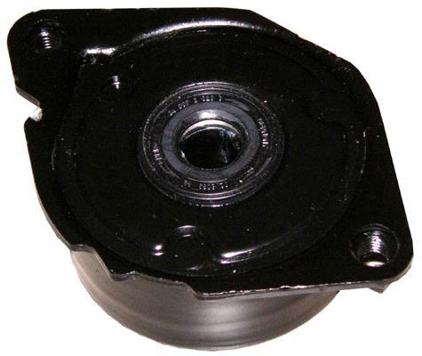 Tensor de correa, correa poli V Schaeffler INA ref. 534 0173 10