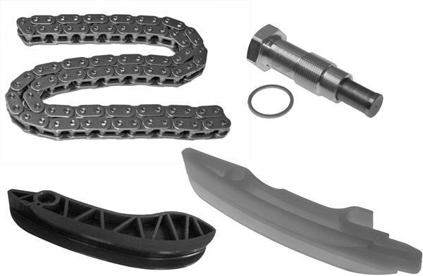Jeu de distribution à chaînes (Kit chaîne de distribution) Schaeffler INA ref. 559 0030 10
