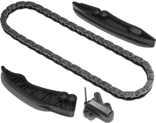 Jeu de distribution à chaînes (Kit chaîne de distribution) Schaeffler INA ref. 559 0031 10