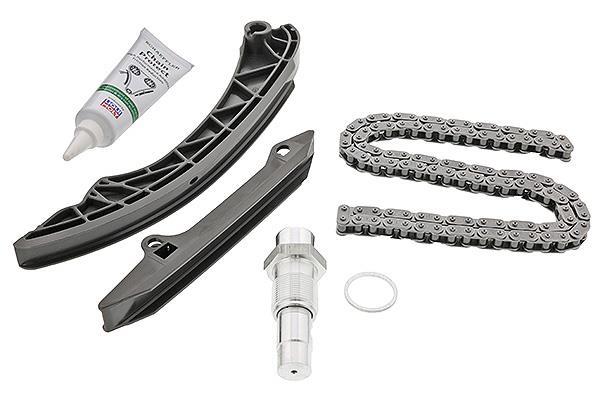 Jeu de distribution à chaînes (Kit chaîne de distribution) Schaeffler INA ref. 559 0100 10