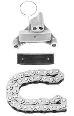 Jeu de distribution à chaînes (Kit chaîne de distribution) Schaeffler INA ref. 559 0111 10