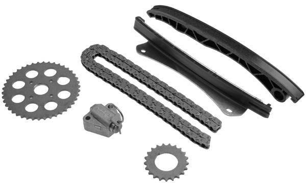 Jeu de distribution à chaînes (Kit chaîne de distribution) Schaeffler INA ref. 559 0135 10