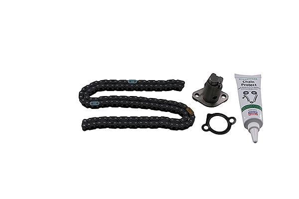 Jeu de distribution à chaînes (Kit chaîne de distribution) Schaeffler INA ref. 559 1031 10