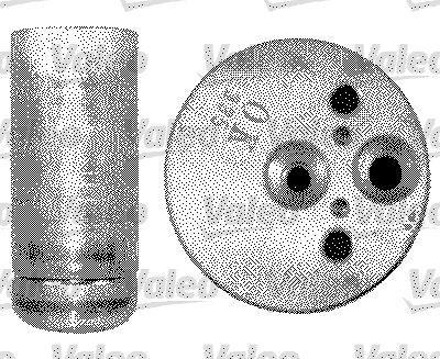 Filtre déshydrateur du circuit de climatisation VALEO 509558