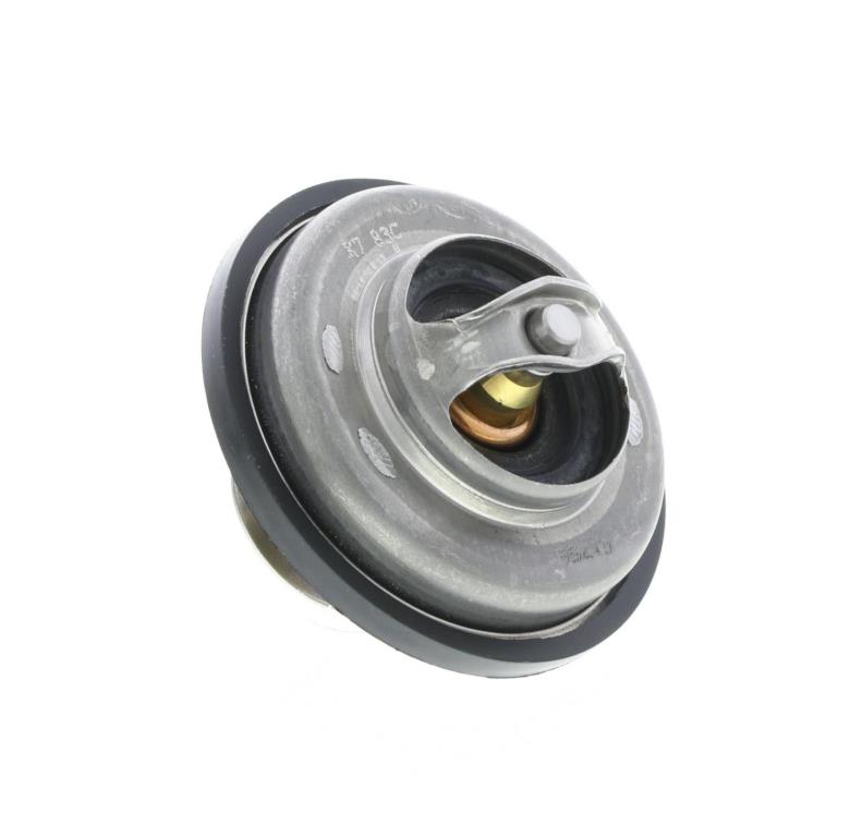 Thermostat d'eau (Calorstat) VERNET S.A.S. ref. TH5231.83J