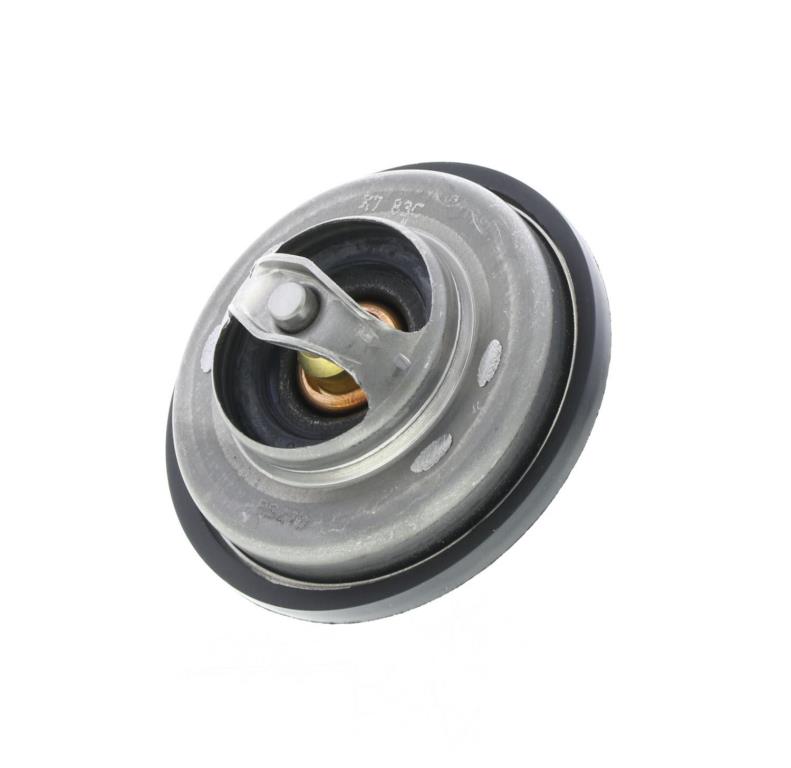 Thermostat d'eau (Calorstat) VERNET S.A.S. ref. TH5231.83J