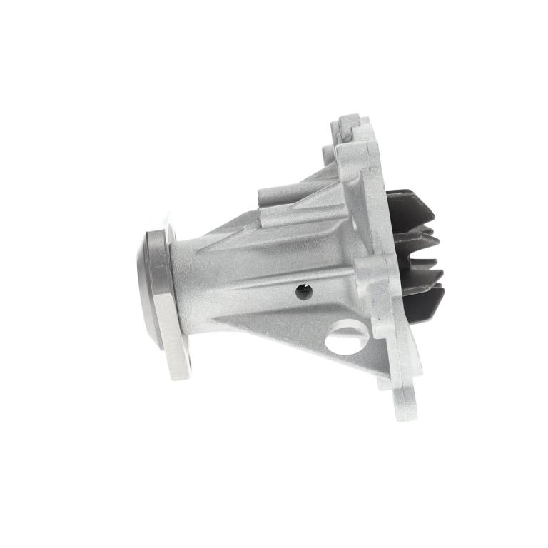 Pompe à eau SALERI PA880