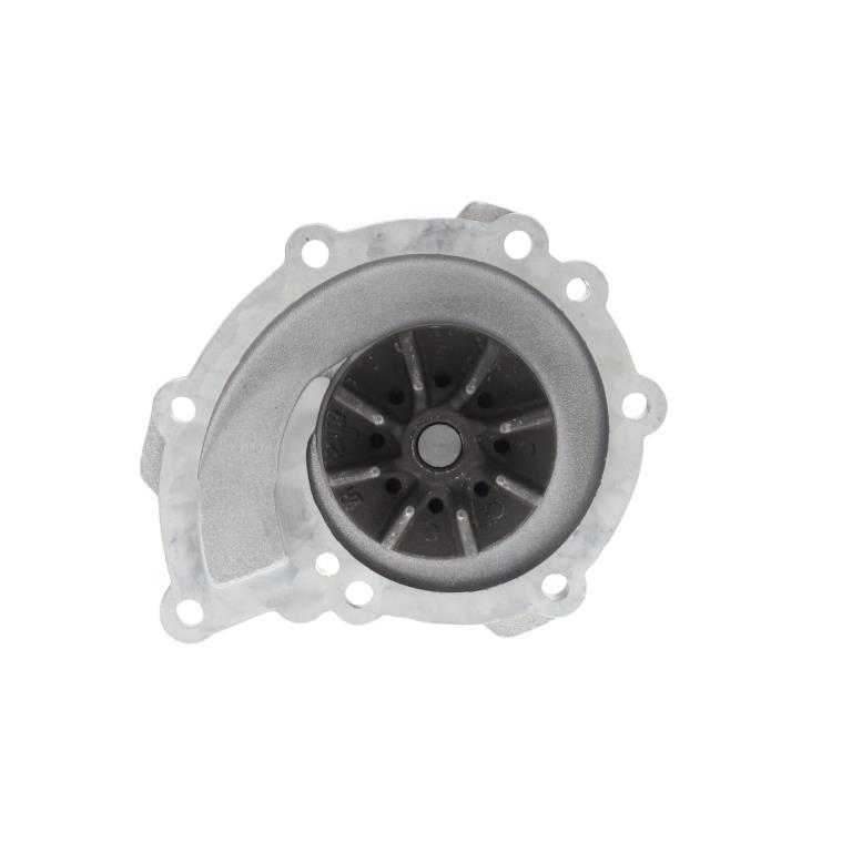 Pompe à eau SALERI PA880