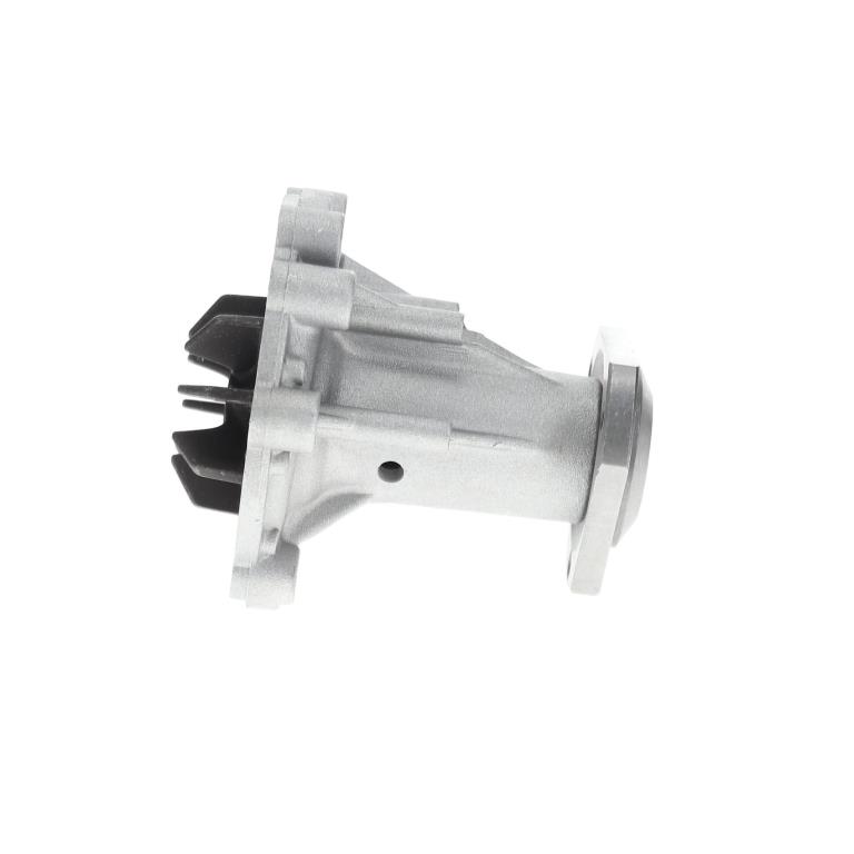 Pompe à eau SALERI PA880