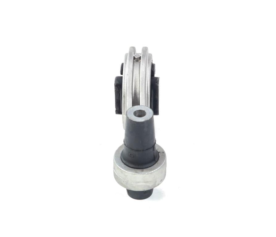 Suporte do motor SASIC 9001999