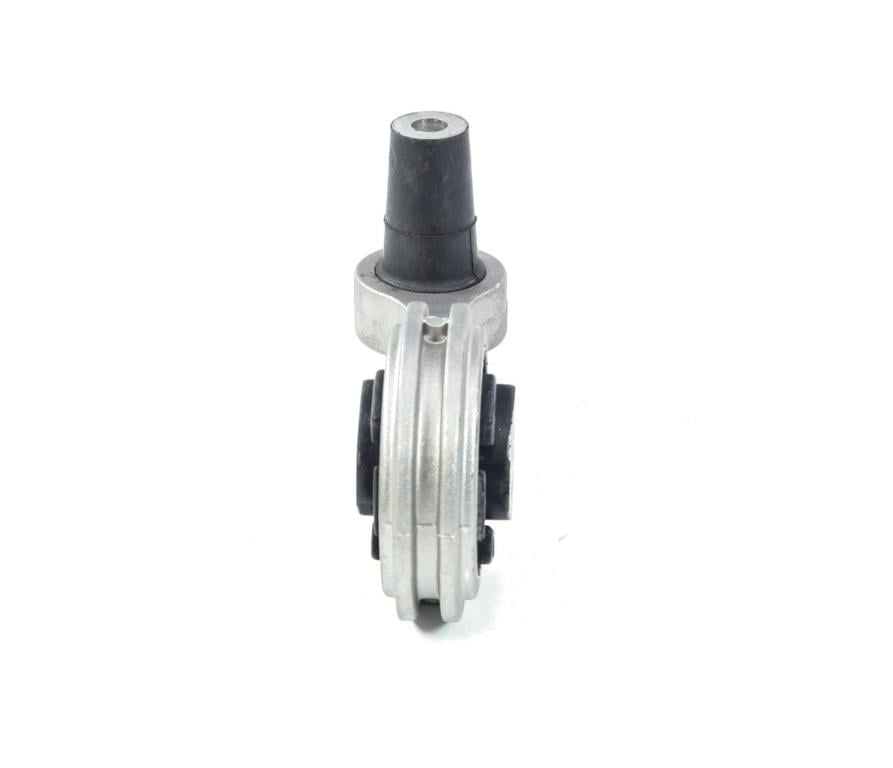 Suporte do motor SASIC 9001999