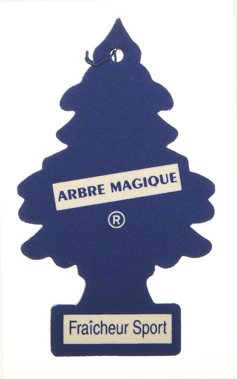Carte parfumée ARBRE MAGIQUE 192525 au meilleur prix - Oscaro