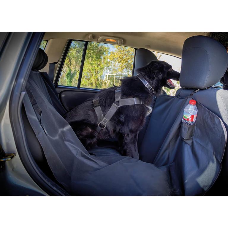 Housses CAR + DOGCOV1