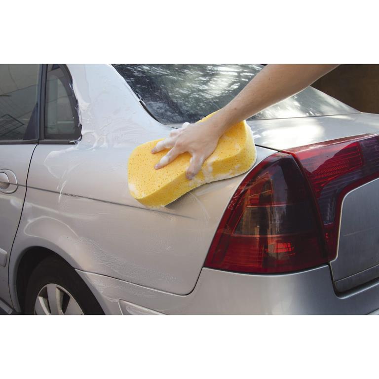 Esponja CAR + ref. KLIN603