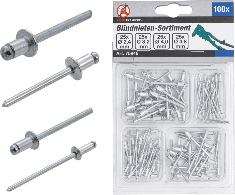 Rebite de fixação da matrícula BGS DIY ref. 75846