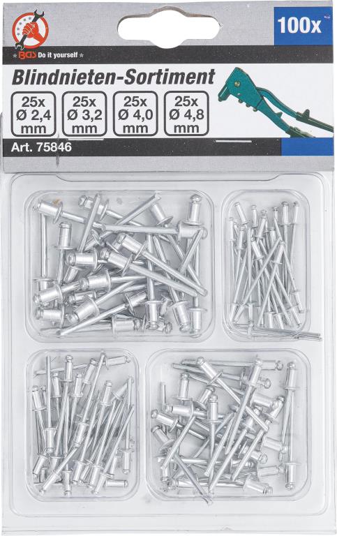 Rebite de fixação da matrícula BGS DIY ref. 75846