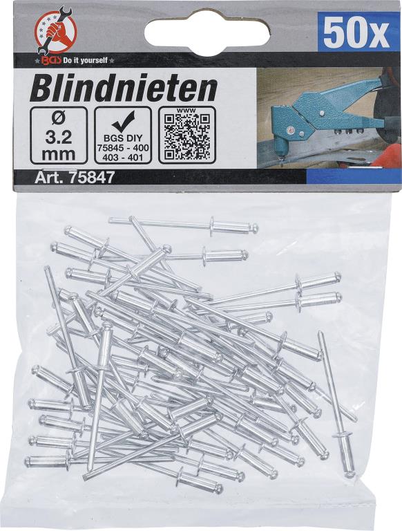 Rivet de plaque BGS DIY ref. 75847