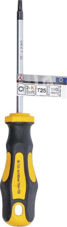 Chave de fendas Torx BGS DIY ref. 7844-T25
