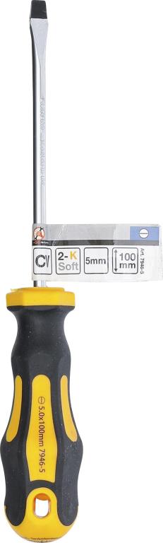 Destornillador plano BGS DIY ref. 7946-5
