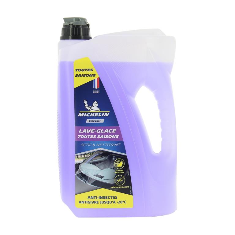 Lave-glace MICHELIN 009 291