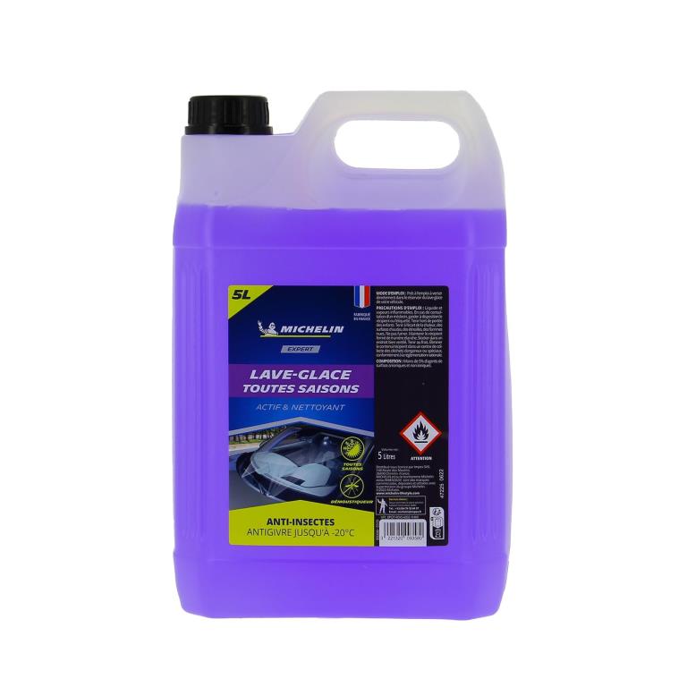 Lave-glace MICHELIN 9358