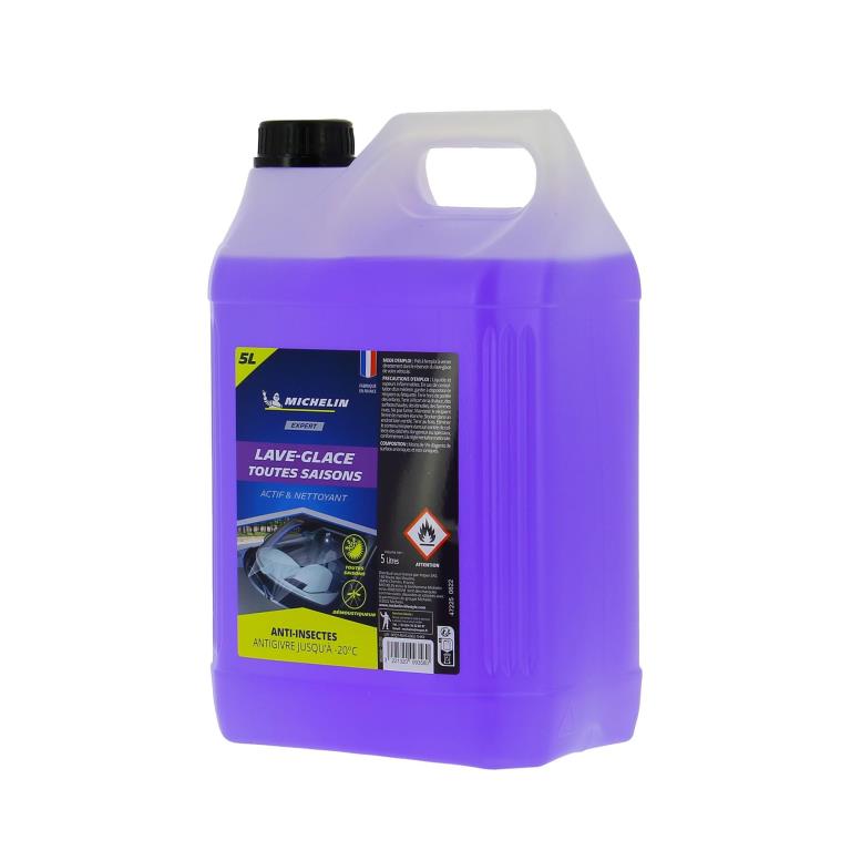 Lave-glace MICHELIN 9358