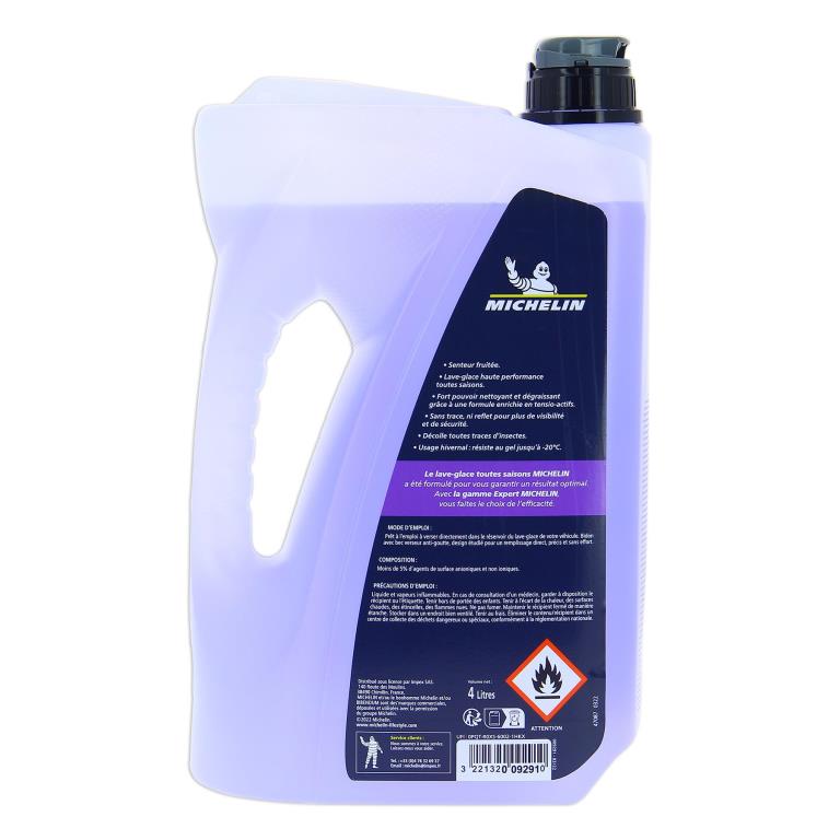 Lave-glace MICHELIN 009 291