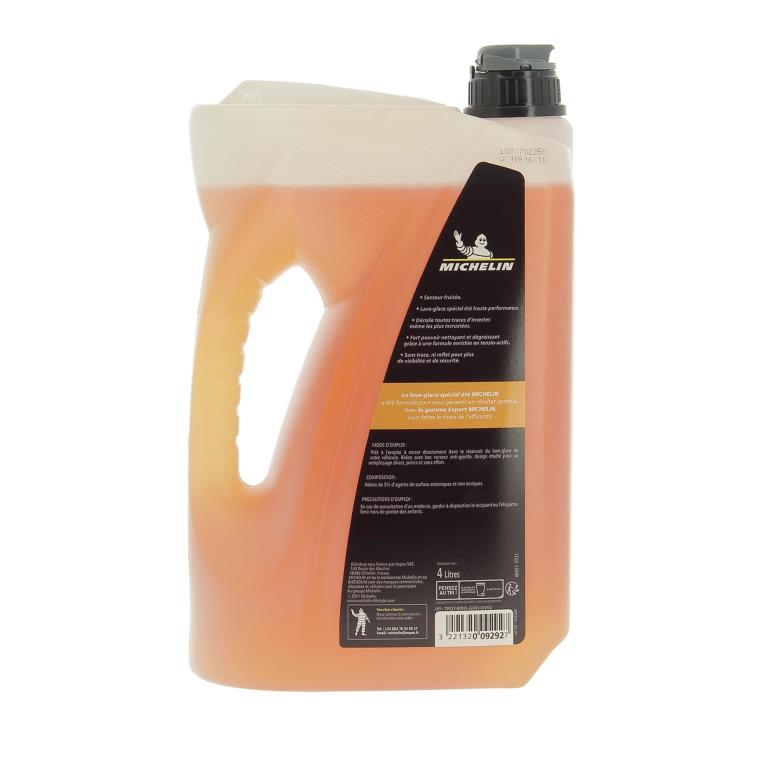Lave-glace MICHELIN 009 292