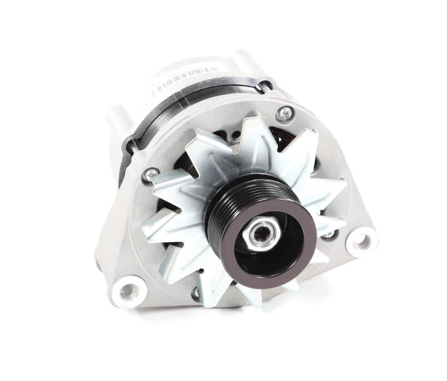 Alternateur DA SILVA S.A.S. 010456