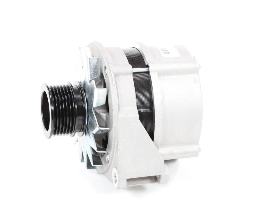 Alternateur DA SILVA S.A.S. 010456
