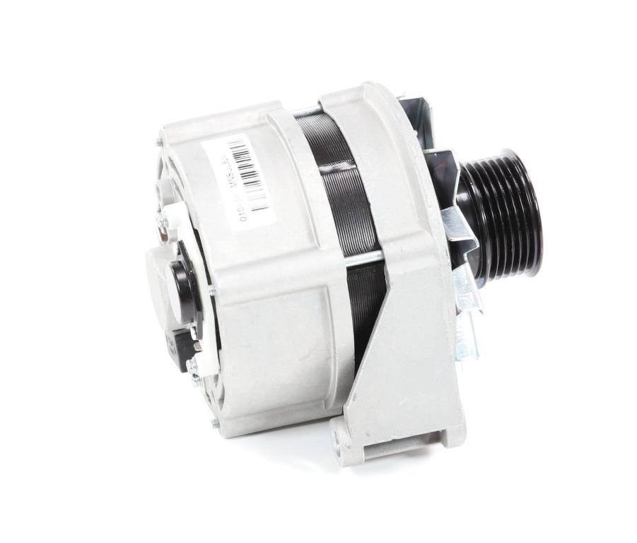 Alternateur DA SILVA S.A.S. 010456