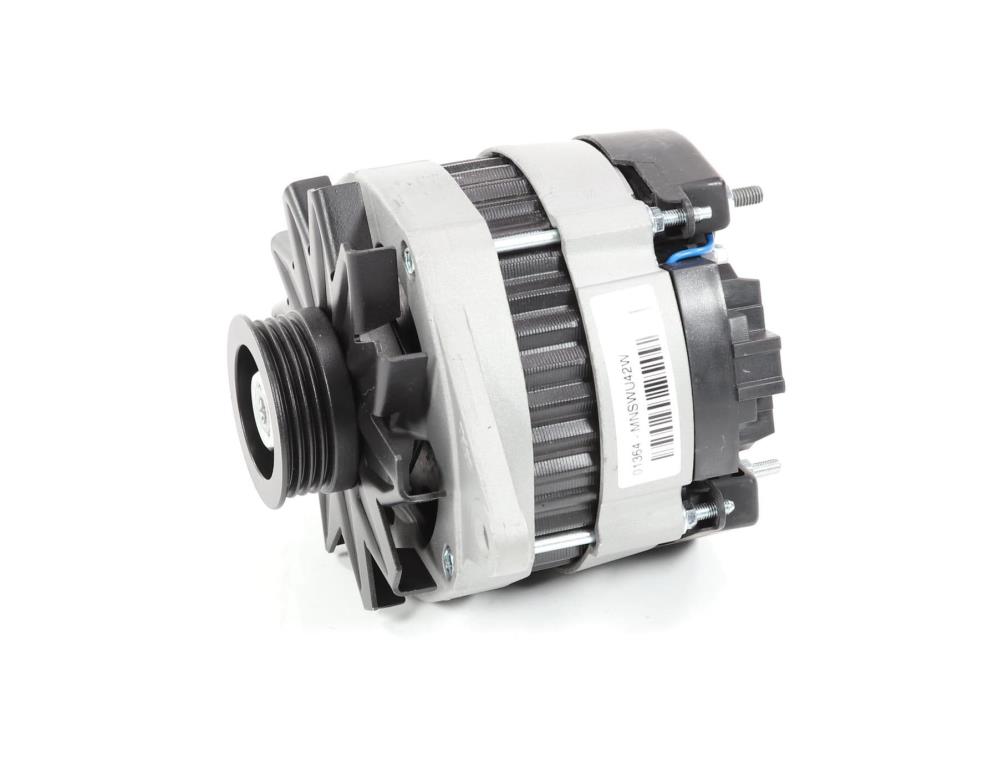 Alternateur DA SILVA S.A.S. 01364