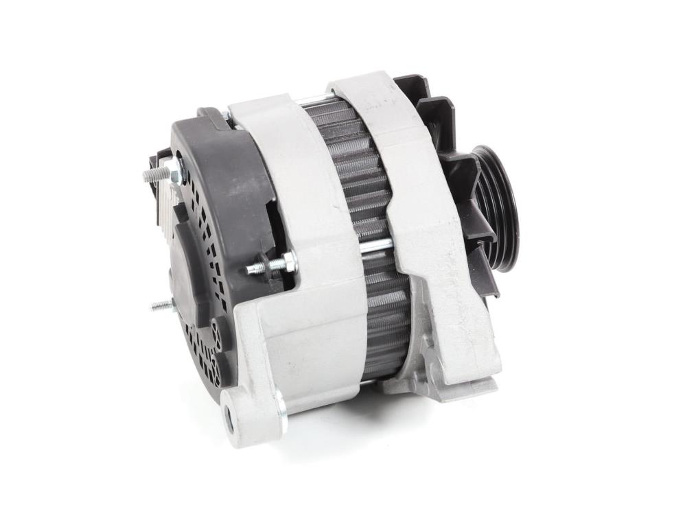 Alternateur DA SILVA S.A.S. 01364