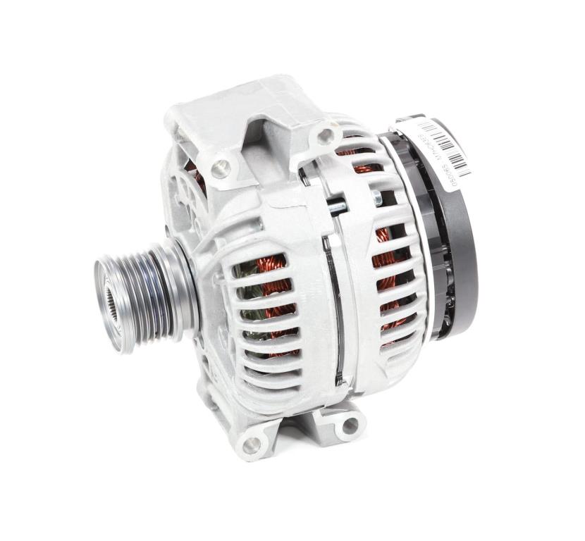 Alternateur DA SILVA S.A.S. 050065