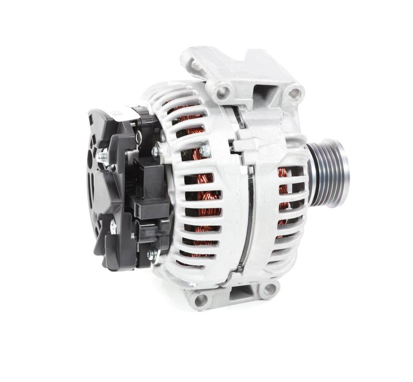 Alternateur DA SILVA S.A.S. 050065