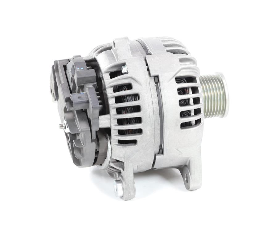 Alternateur DA SILVA S.A.S. 010698