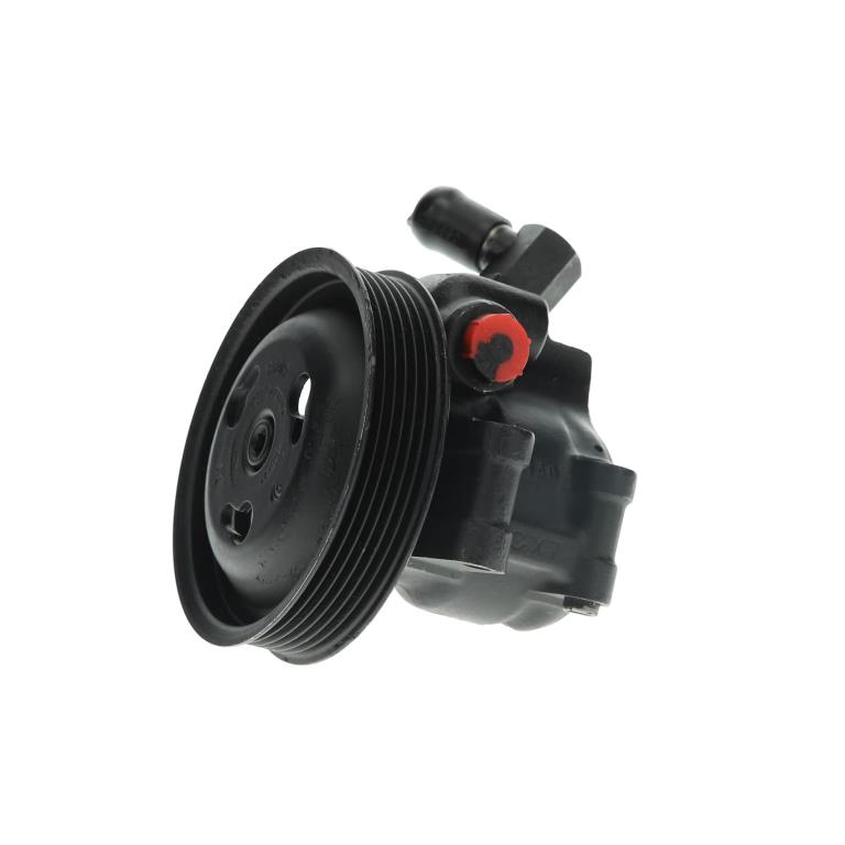 Pompe de direction assistée (Servo direction) DA SILVA S.A.S. ref. DP2151