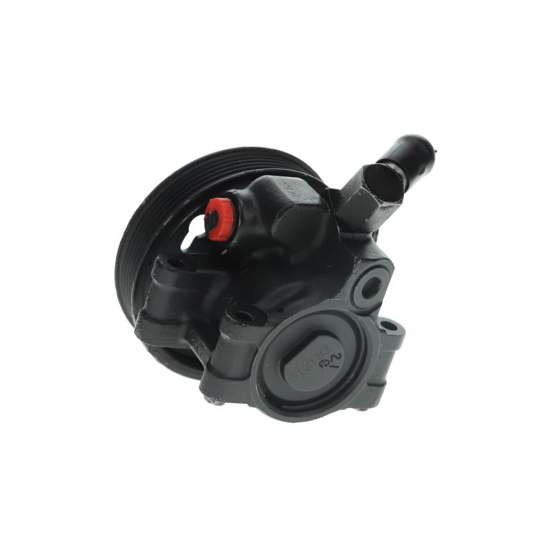 Pompe de direction assistée (Servo direction) DA SILVA S.A.S. ref. DP2151